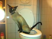 Катя Степаненко фотография #47 (источник - https://vk.com/id815359)