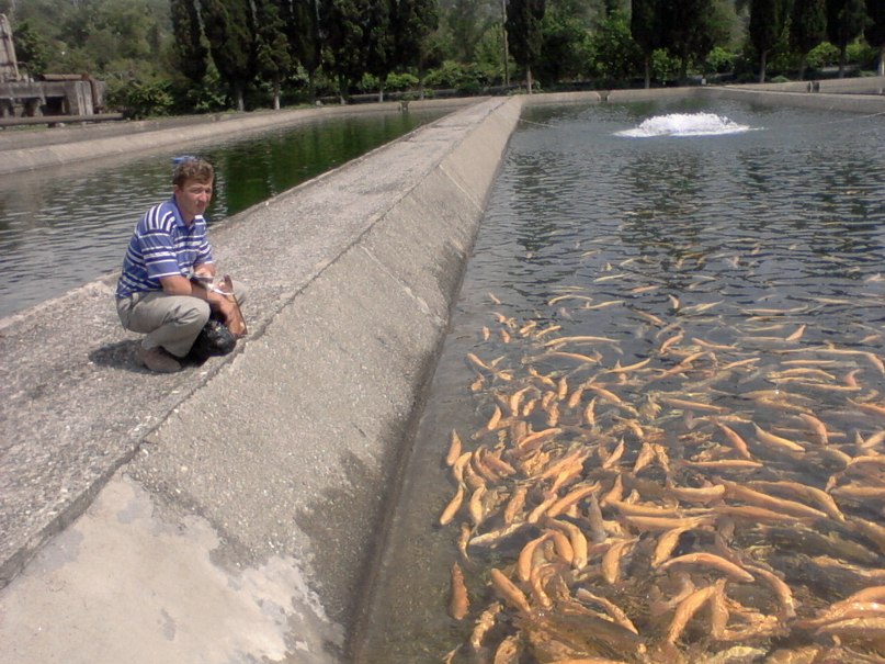 Сергей Охапкин фотография #6