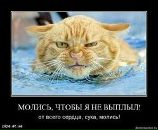 Фотография Перегудова Павла