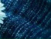 Ілона Лебеденко фотография #6 (источник - https://vk.com/id56674792)