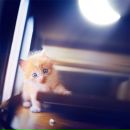 Фотография Мустафиной Динары