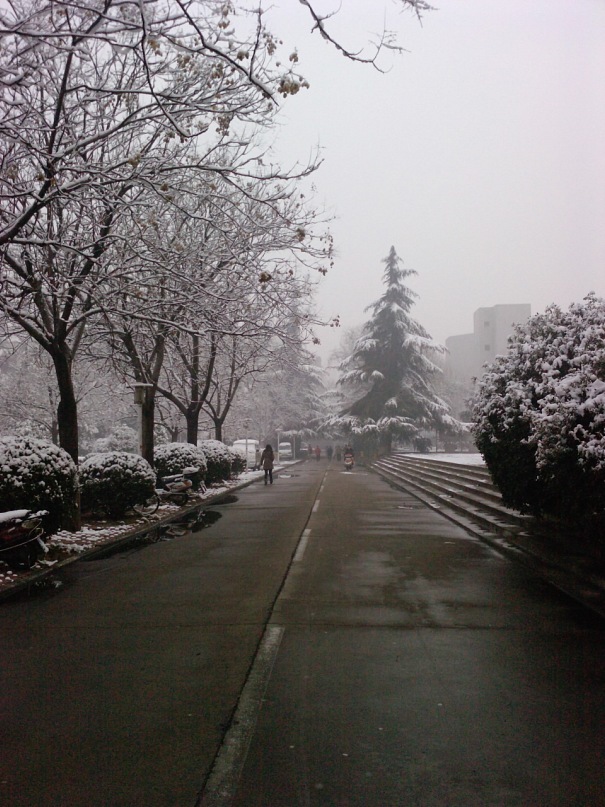 Jin Wei фотография #19