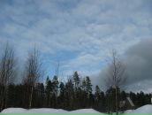 Фотография Сомовой Виктории