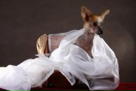 Фотография Бородиной Ирины