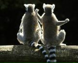 Андрій Горінець фотография #28 (источник - https://vk.com/id30203235)