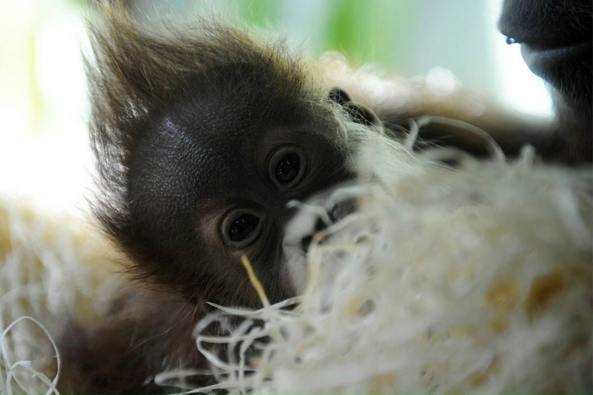 Амина Лазба фотография #46