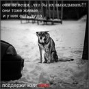 Олександр Улізько фотография #27 (источник - https://vk.com/id136093176)
