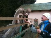 Фотография  