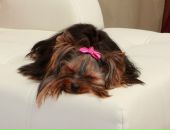 Фотография Орловой Натали