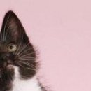 Олександра Сузінович фотография #30 (источник - https://vk.com/id67921577)