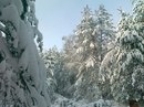Діма Щербанич фотография #37 (источник - https://vk.com/id154672651)