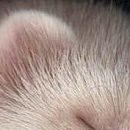 Вітя Лайщук фотография #25 (источник - https://vk.com/id134923699)