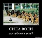 Фотография Николаева Игоря