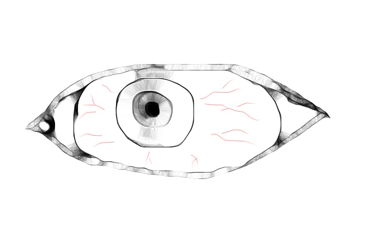 Вовка Бурлай фотография #13