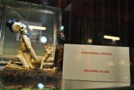 Антон Коростелев фотография #10 (источник - https://vk.com/id622400)