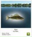 Андрій Репецький фотография #4 (источник - https://vk.com/id158901351)