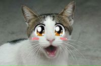 Фотография Милых Ксении