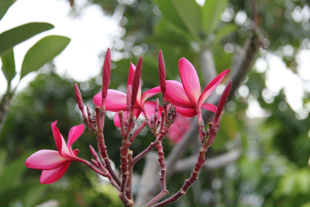 Дмитрий Симонов фотография #13