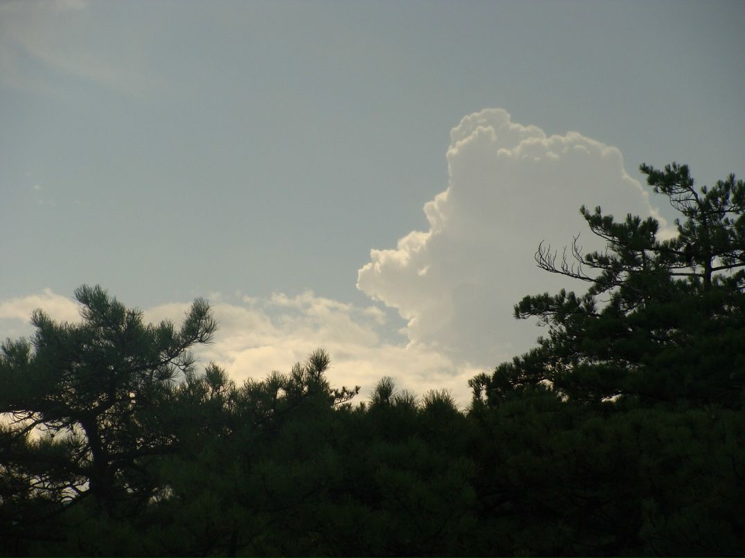 Александр Зиненко фотография #26