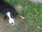 Фотография Ивановой Марины