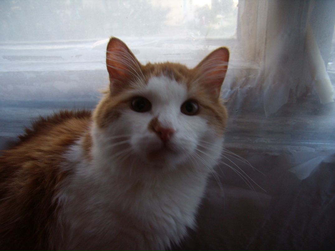 Александр Добряков фотография #49