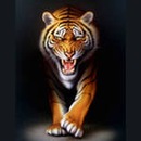 Фотография Железцова Влада