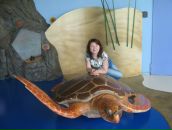 Фотография Винокуровой Светланы