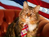 Антон Гончаров фотография #35 (источник - https://vk.com/id1012969)