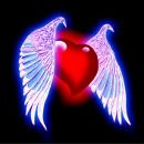 Фотография Быкова Евгения