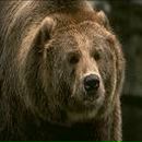 Фотография Злоцкого Антона