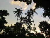 Дмитрий Гомон фотография #29 (источник - https://vk.com/id833603)