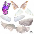 Will Turner фотография #3 (источник - https://vk.com/id7331172)