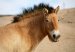  фотография #2