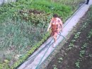 Катя Дзіндзюра фотография #35 (источник - https://vk.com/id59136209)