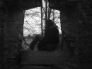Ірчік Теплякова фотография #40 (источник - https://vk.com/id53783901)