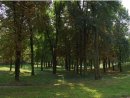 Юра Фіц фотография #39 (источник - https://vk.com/id11335908)