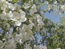 Фотография Мешиной Анны