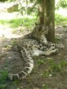 Ирина Таскаева фотография #23 (источник - https://vk.com/id6203277)