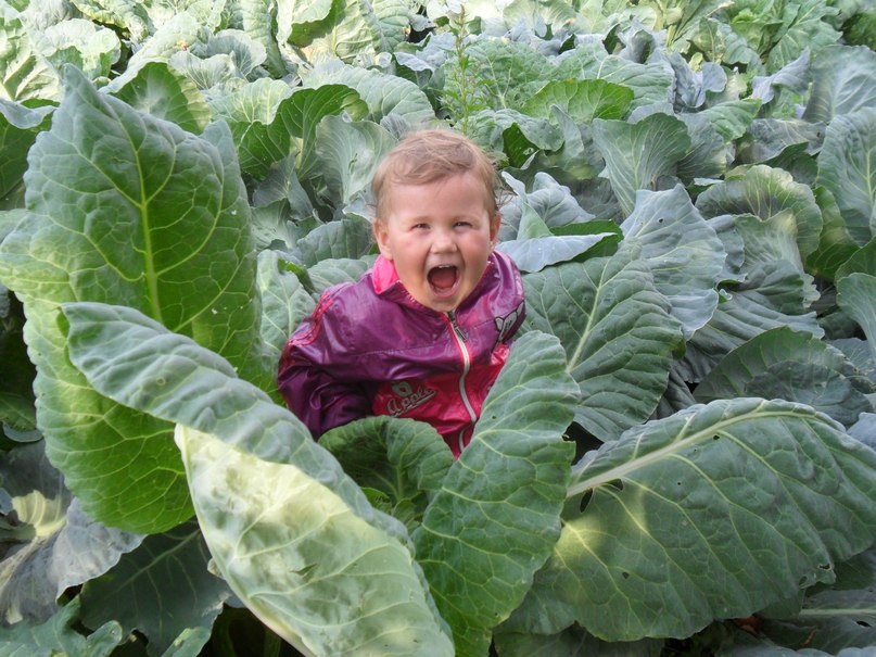 Николай Муравьёв фотография #39