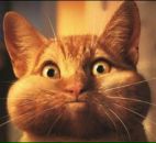 Фотография Бебика Евгения