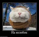 Фотография Булатова Алексея