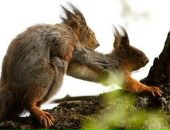 Фотография Шишкина Максима