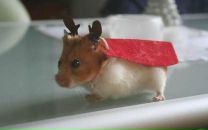 Фотография Смирновой Наташи