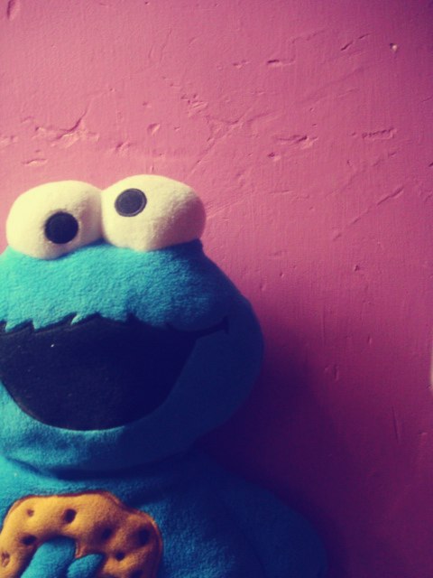 Мак Шейн фотография #20