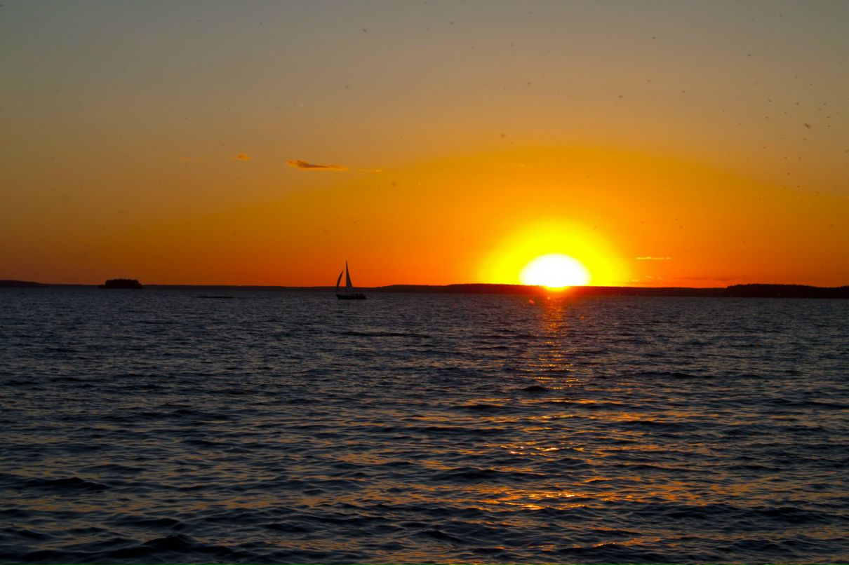 Антон Поляков фотография #19