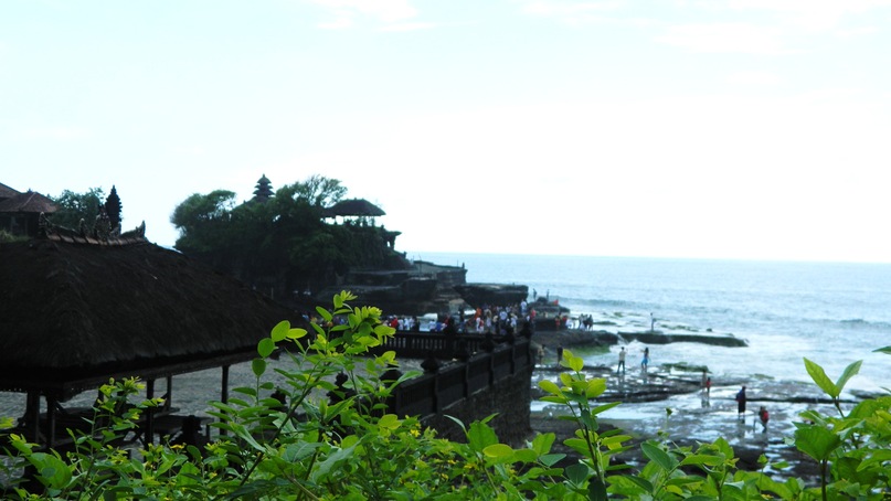 Marat Odom фотография #46