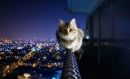 Фотография Шульгиной Вероники