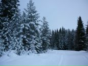 Степан Шадрин фотография #29 (источник - https://vk.com/id8910732)