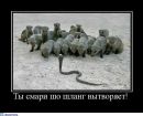 Сергій Продан фотография #30 (источник - https://vk.com/id134452077)