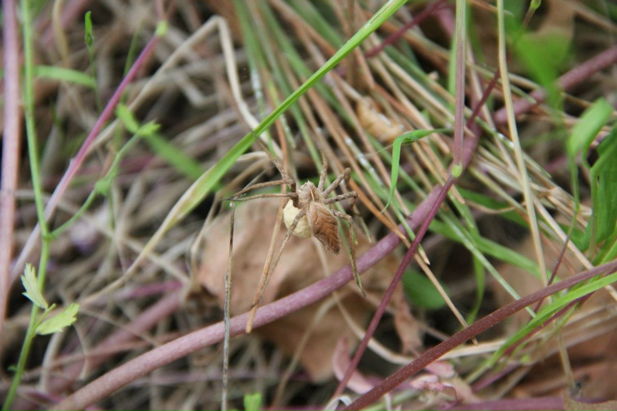 Женя Татировский фотография #46